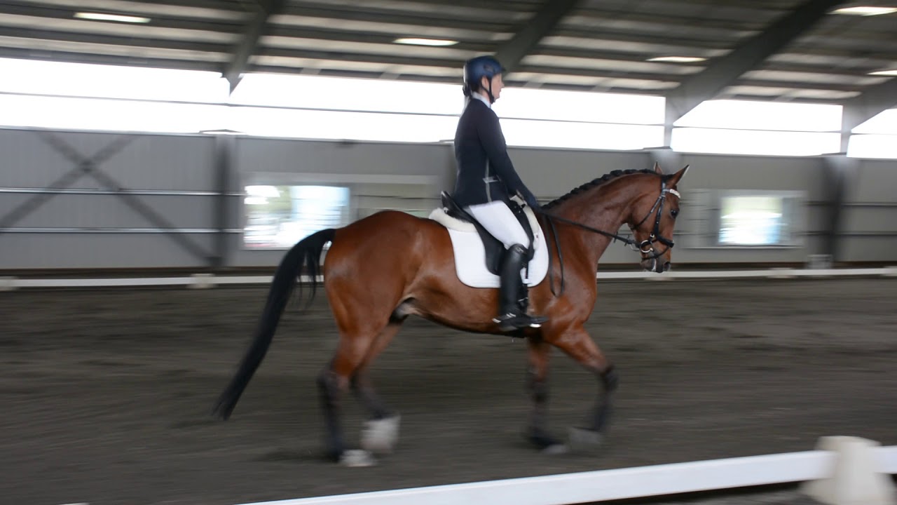Lori Granfiels First level Frestyle  Sun 6 17 01