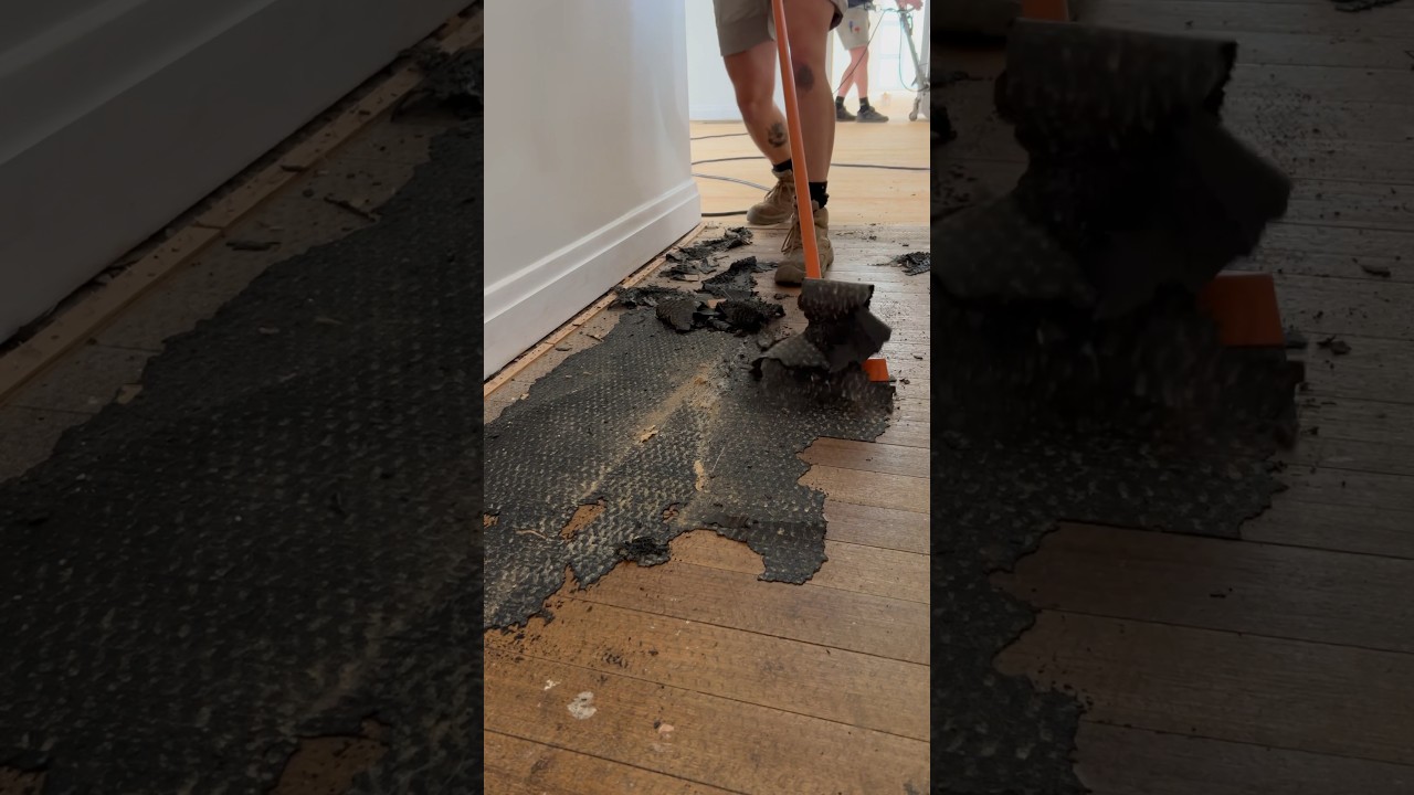 NASTY carpet removal!