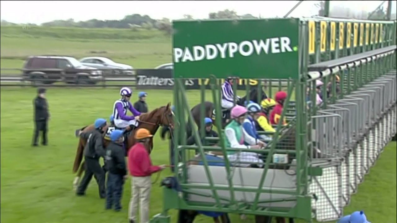 Kingman wins the Irish 2000 Guineas