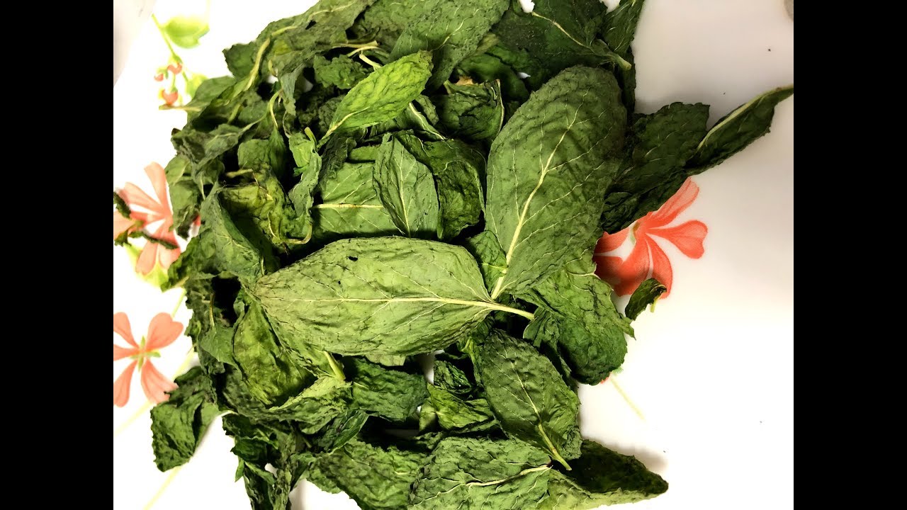 Dry mint or any herb in TWO minutes only