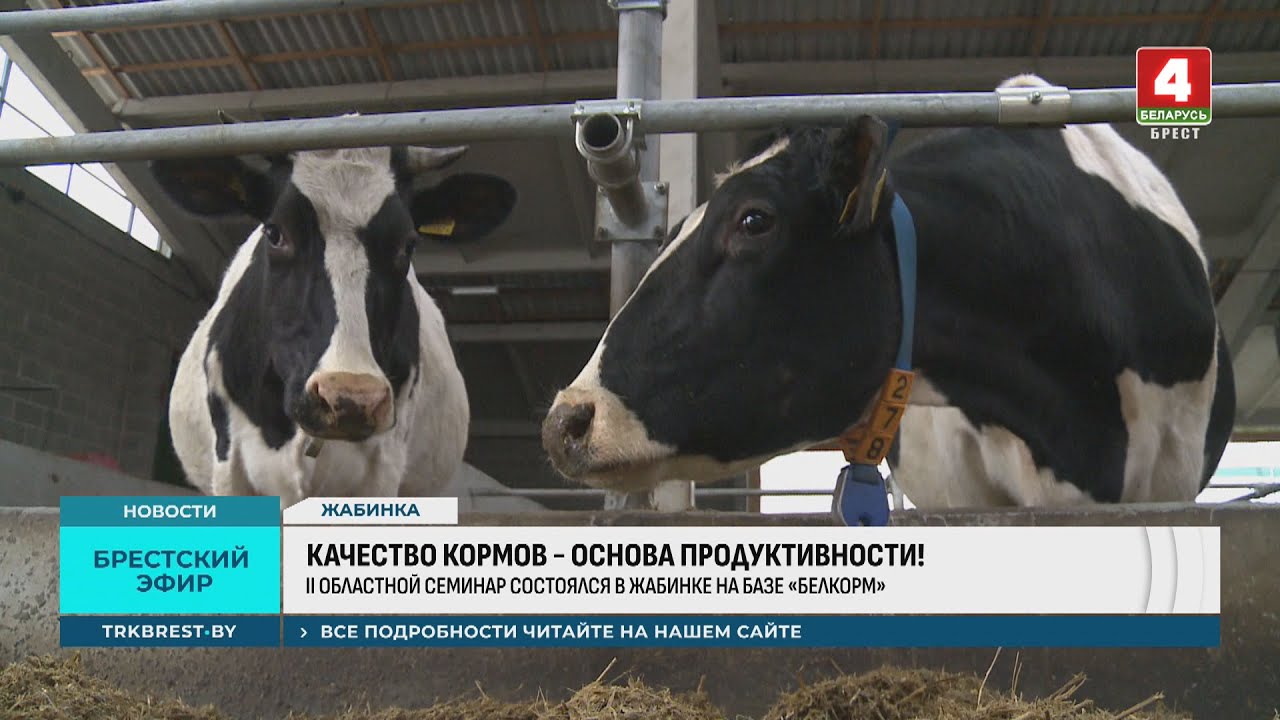 КАЧЕСТВО КОРМОВ - ОСНОВА ПРОДУКТИВНОСТИ!