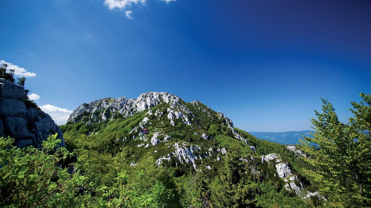 180 VR - Croatia 2020 - 6/6 - Risnjak national park/Rijeka town