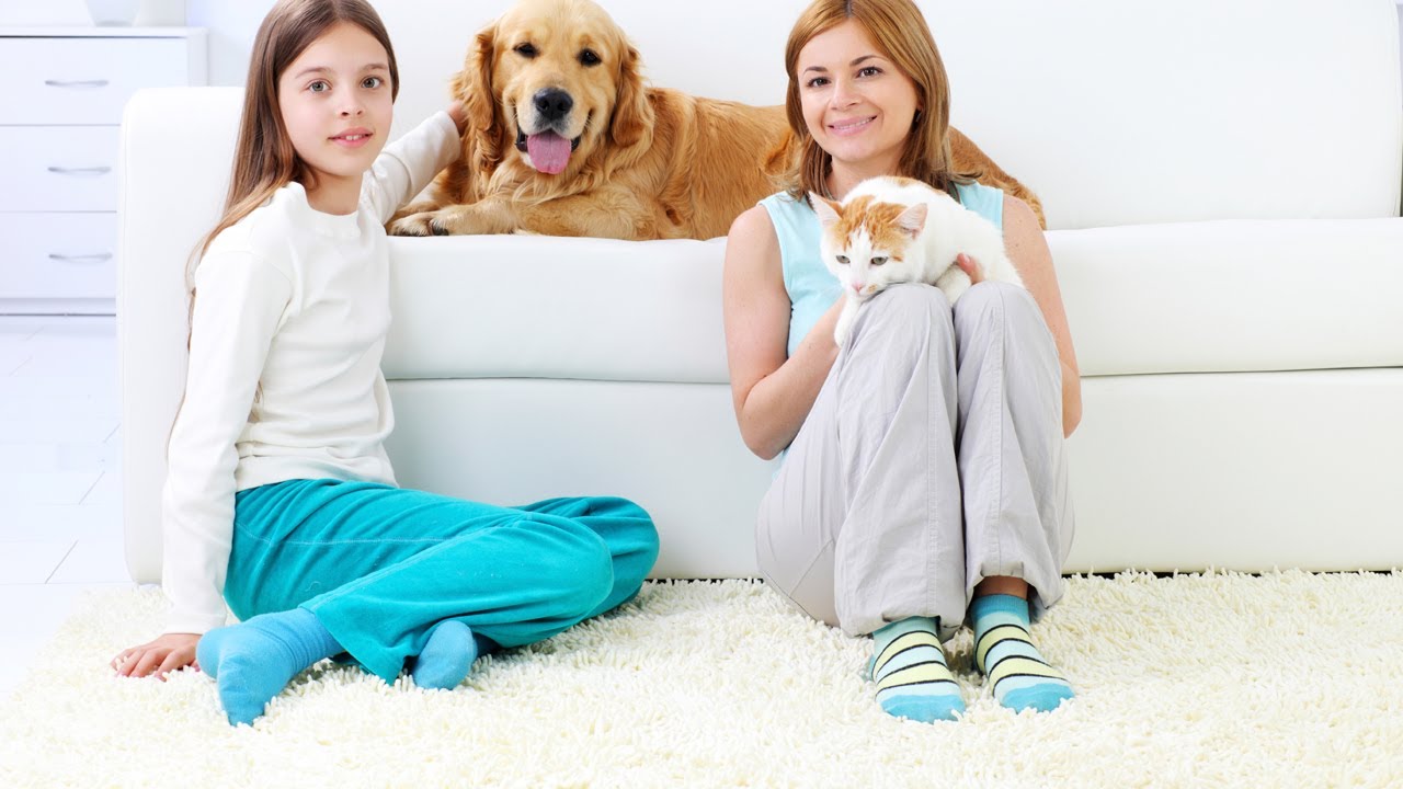 Oriental Rug Repair Kendall