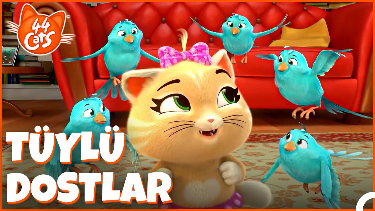 44 Kedi | Kuşlar Mı Daha Hızlı, Patiler Mi? ⚡🐱
