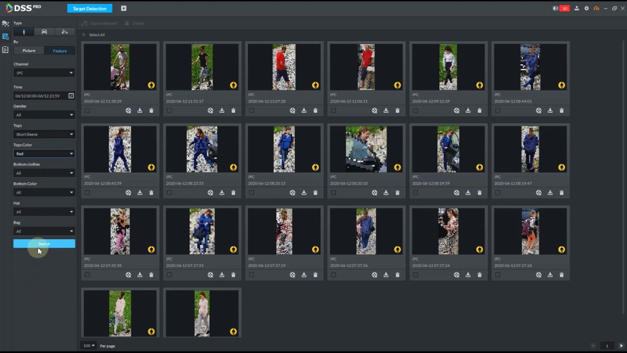 Dahua DSS PRO privacy masking