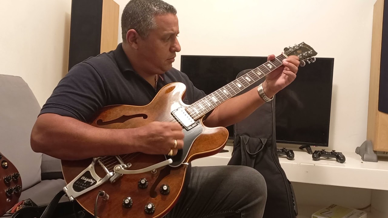 אריק כהן - גיטרה 
Eric Cohen - Guitar
 Es 335 Gibson