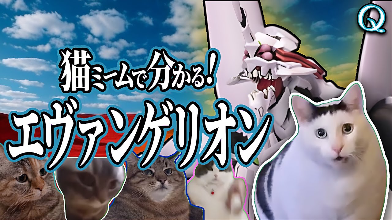 猫ミームで分かる！エヴァンゲリオン新劇場版Part2【猫ミーム】