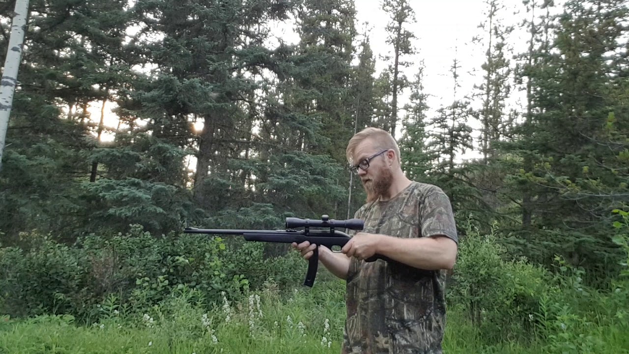 Marlin 795 with ProMag 25 round magazine and Pursuit scope