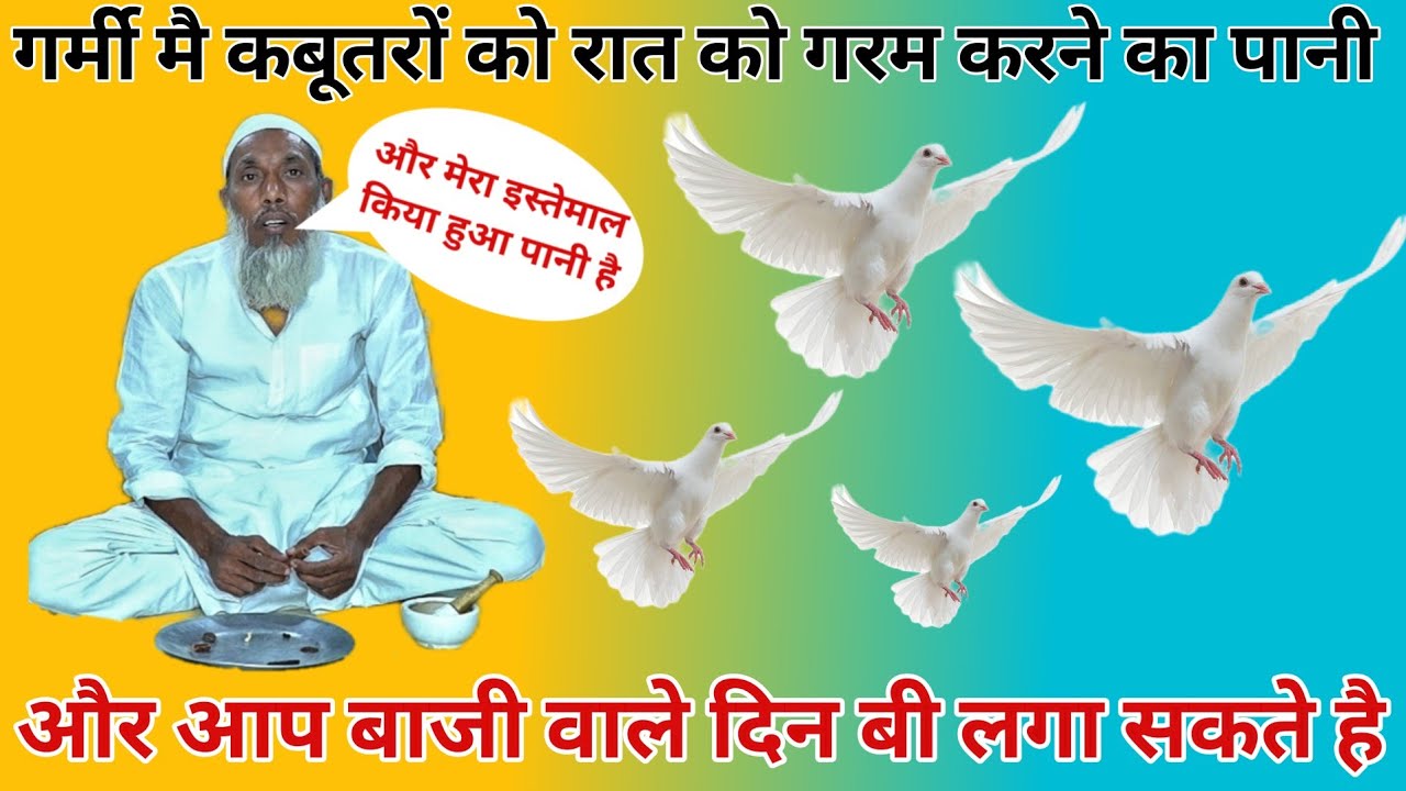 गर्मी में कबूतरों को रात में कैसे गर्म करें