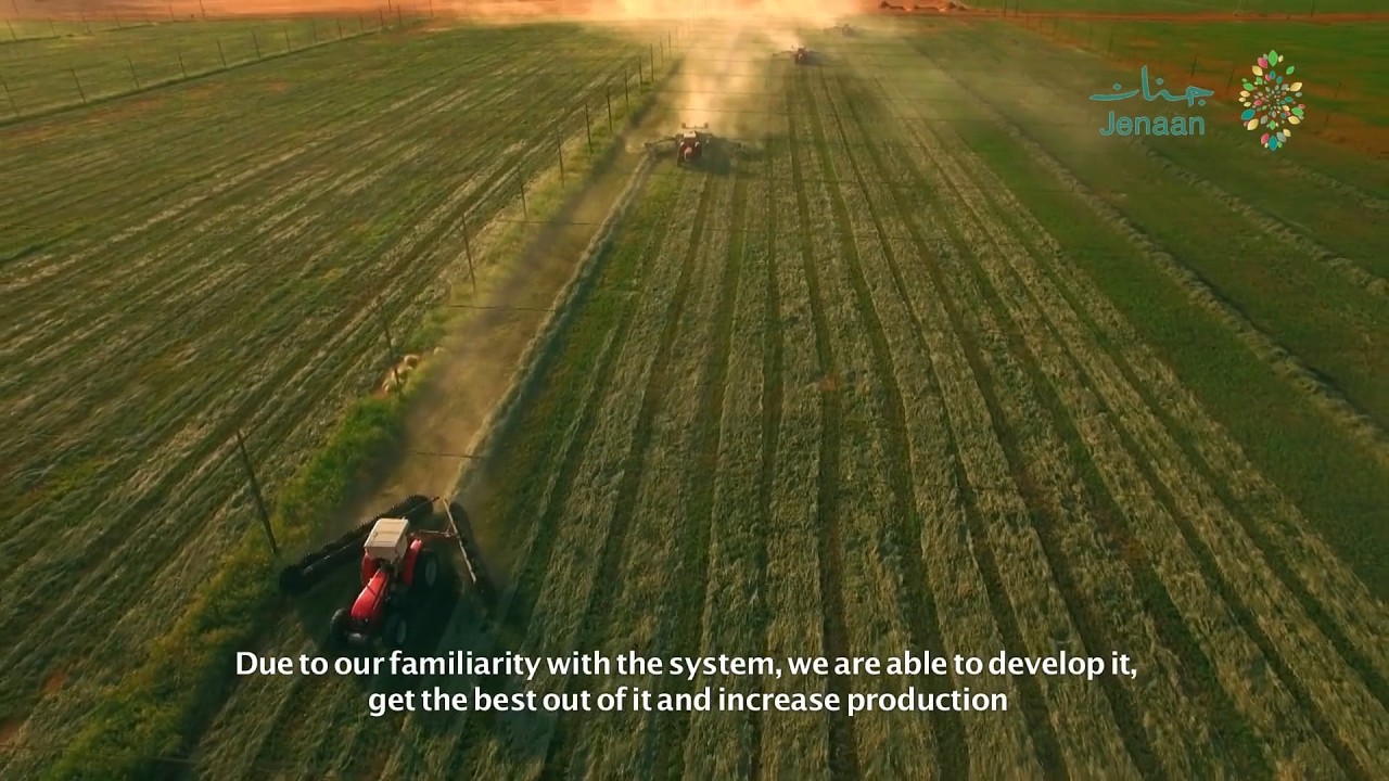 Jenaan - Megafarm in Sudan (documentary - short version)