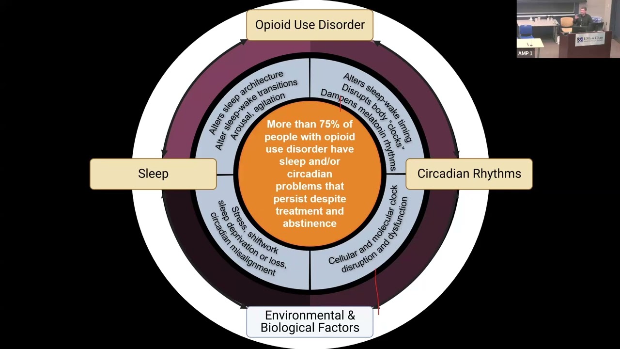Sleep & Circadian Rhythm Dysfunction in Opioid Addiction: Molecular and Cellular by Ryan Logan