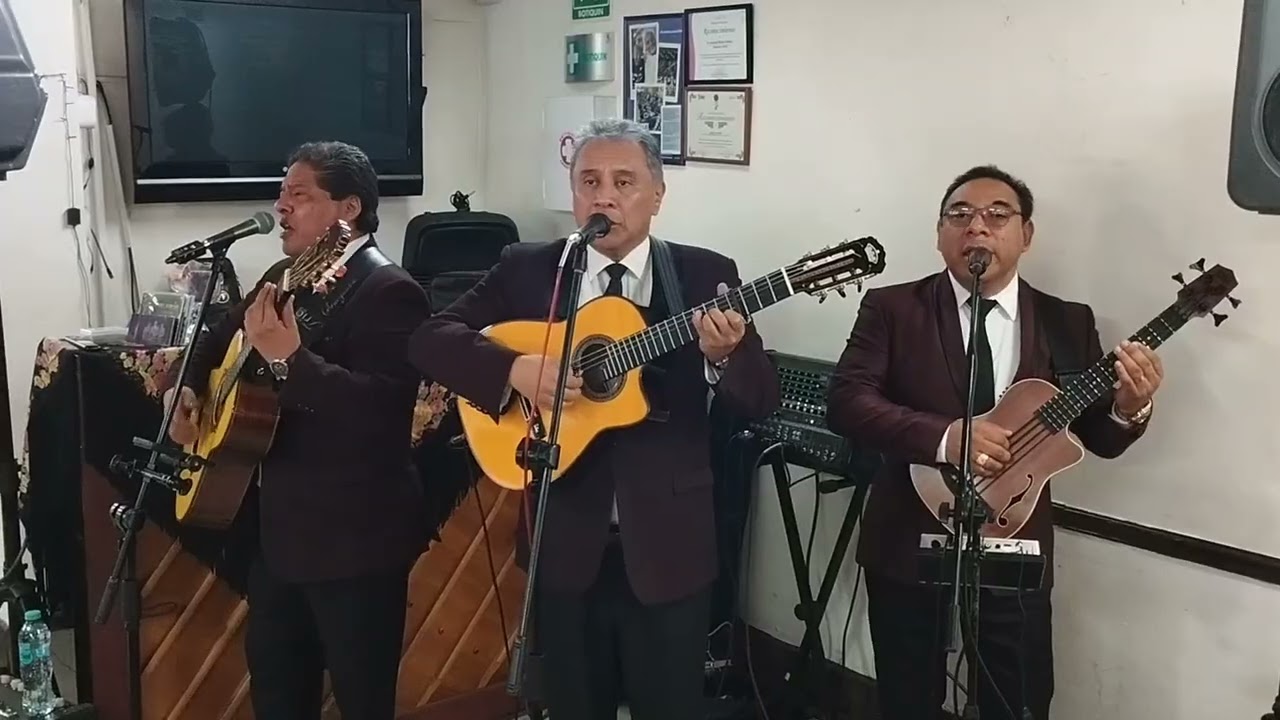DOS CORAZONES ( Luisito Pla ) TRIO DEL ANGEL 🎶🎵🎸💯❤️😺