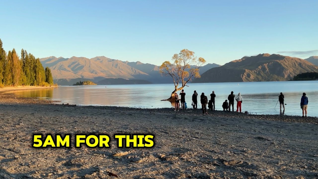 THE MOST FAMOUS TREE IN NEW ZEALAND | 4K SUNRISE AT THAT WANAKA TREE
