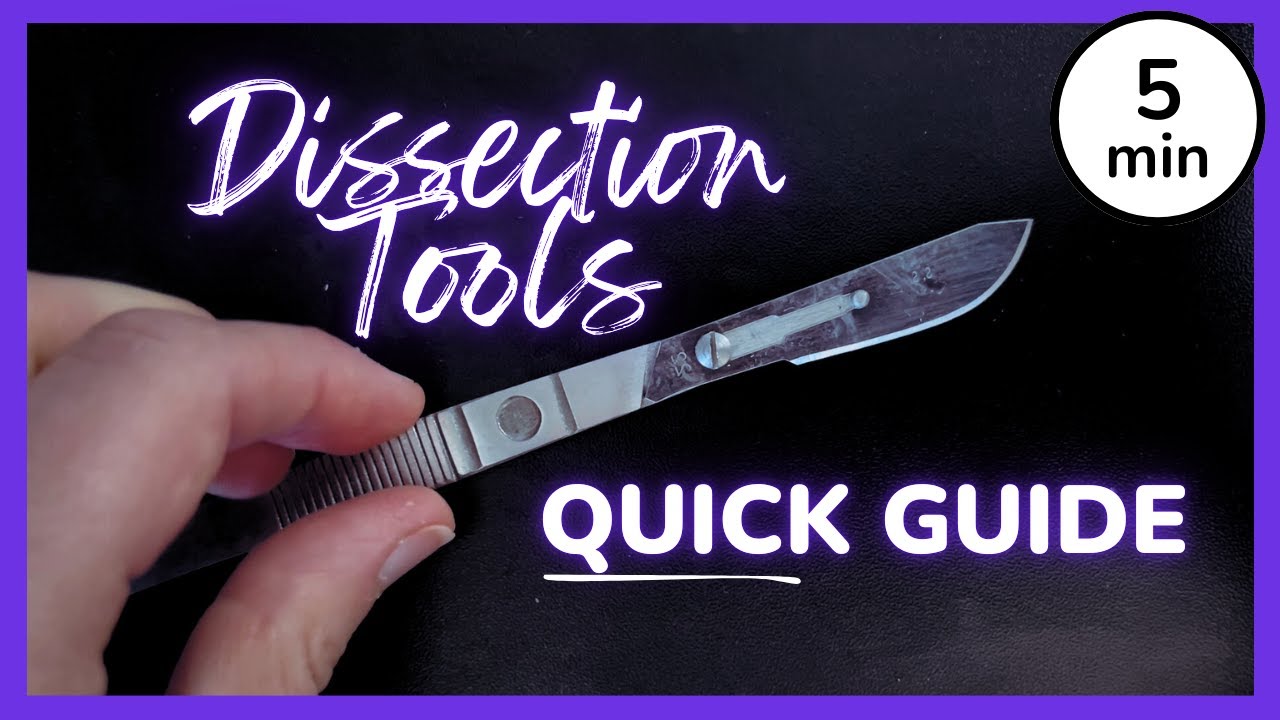 Dissection Tools: Names and Uses