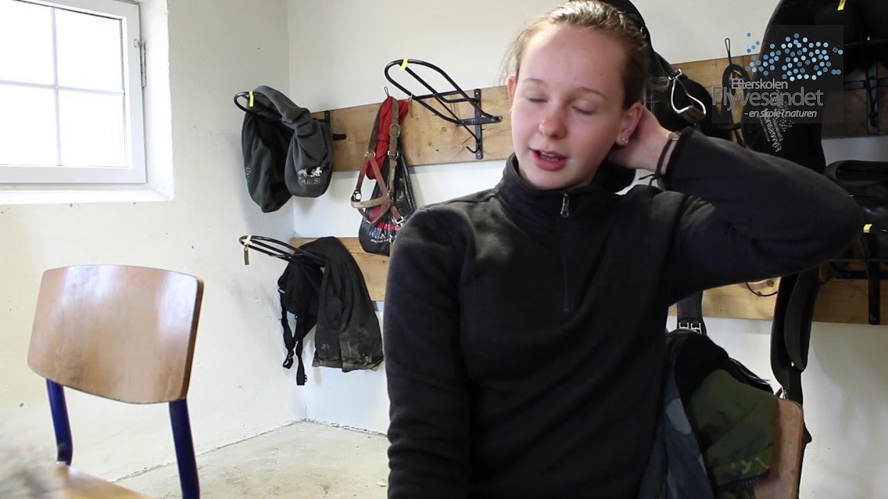 Hestelinjen_Flyvesandet