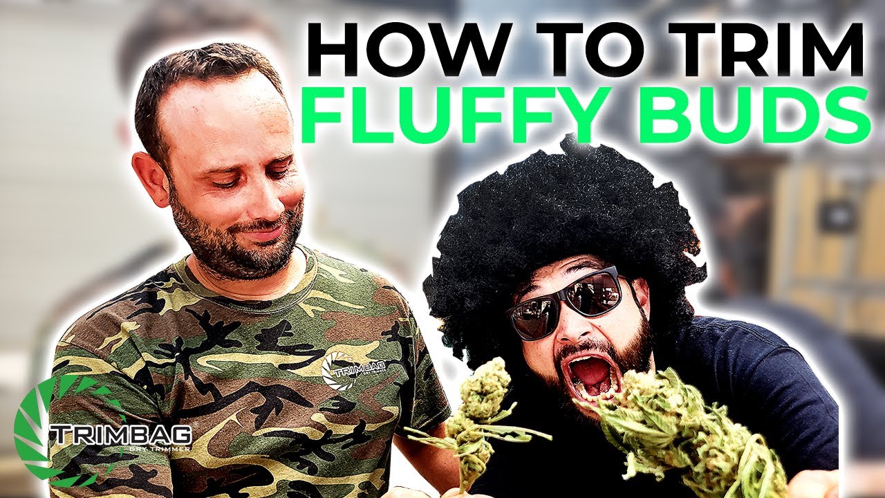 How to Trim Fluffy Buds with the Trimbag!