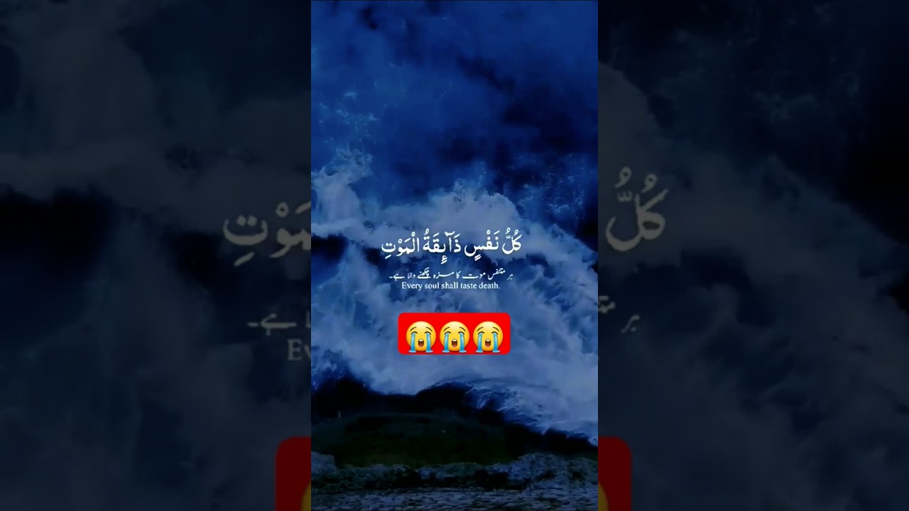 Quraan ❣️🌹Beautifull Recitation #quranlovers #shorts  #quranrecitation @themeaningofislam