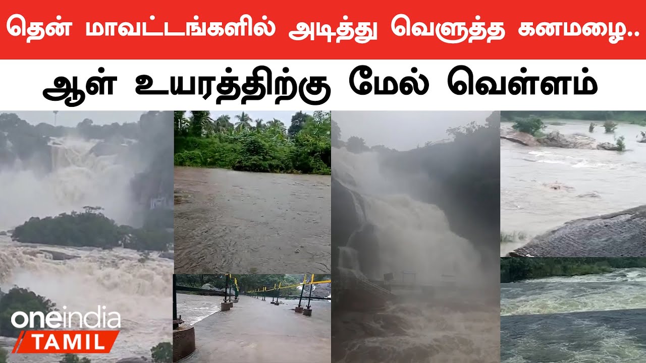 Tirunelveli, Tuticorin Rain | 8 அடிக்கு வெள்ளம்! கடையே முழுசா மூழ்கிருச்சே… | Oneindia Tamil