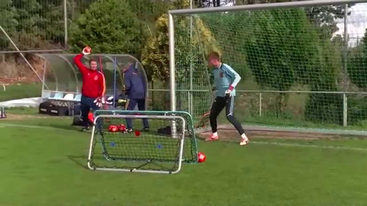 Miguel Ángel España Rosado. Entrenamiento de la velocidad específica. REBOUNDERS
