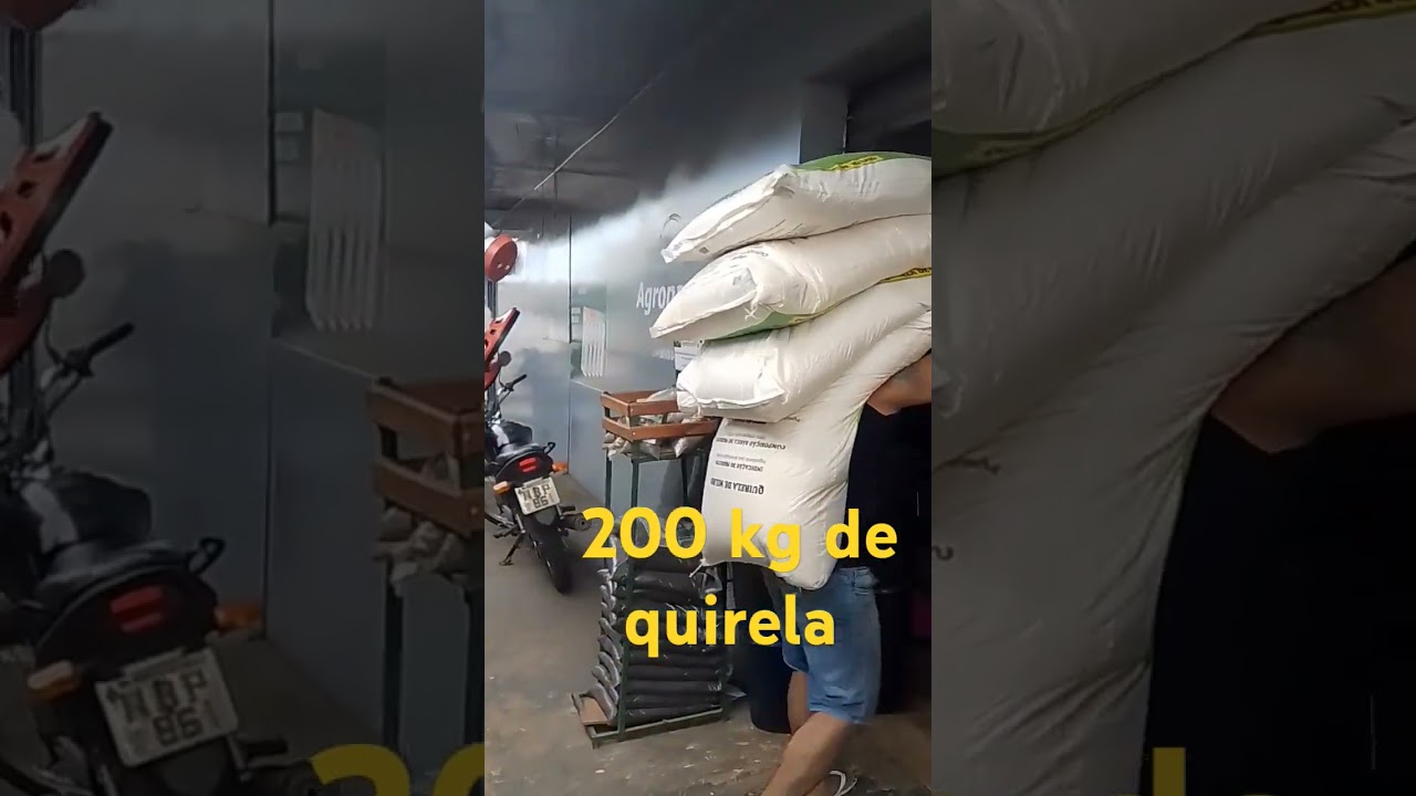 descarga de quirela e milho #shorts