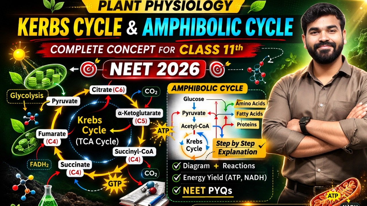 Krebs Cycle + Amphibolic Cycle Explained in One Shot 🚀 | Full Marks Strategy