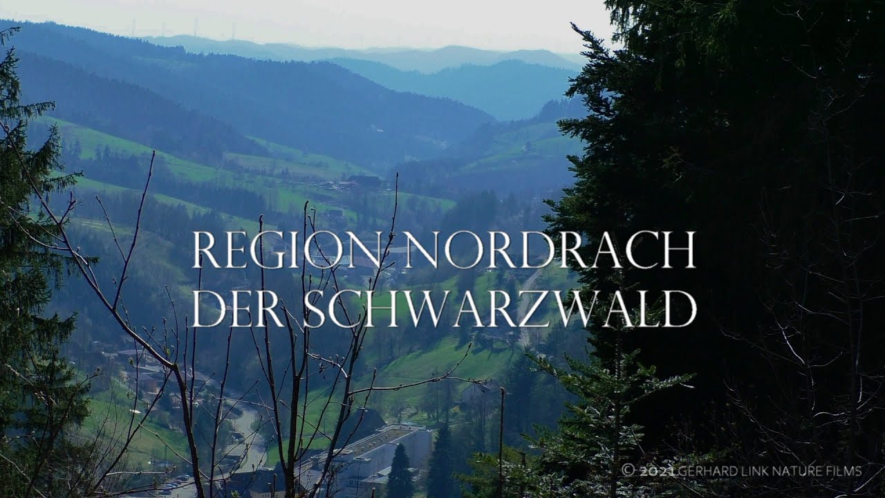 RABENFELSEN (NORDRACH) / DER SCHWARZWALD  🇩🇪 🥾 🌲 🌳🌻