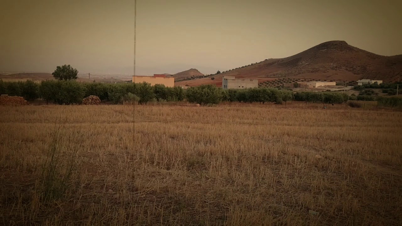 Tawada Ben-Taib 2017