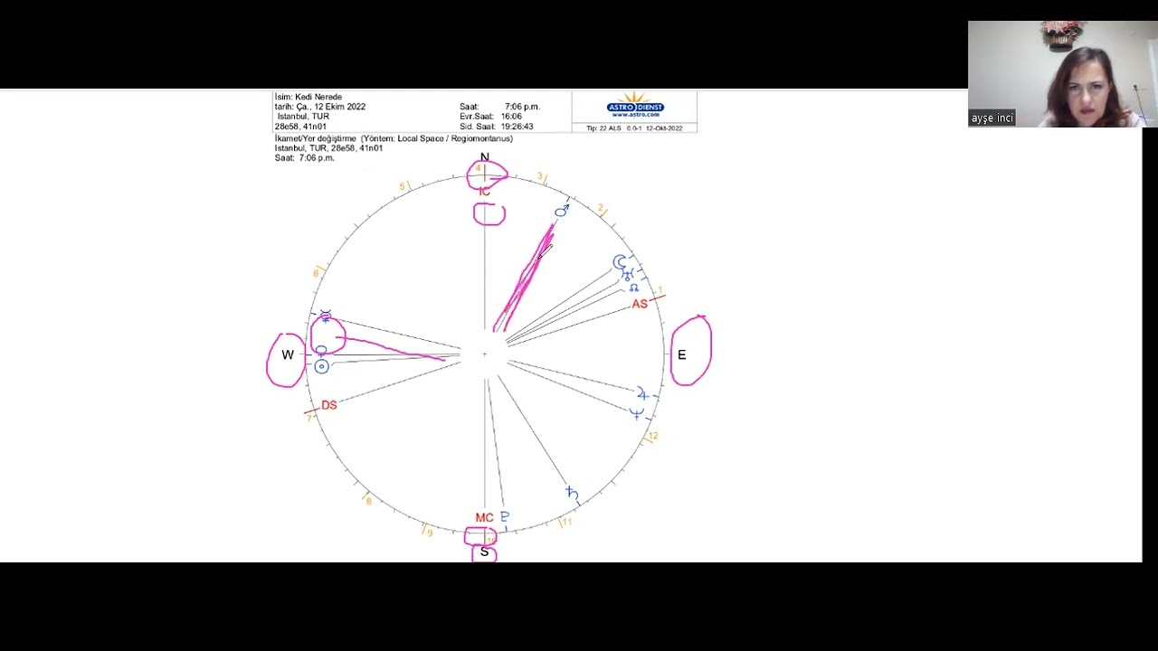 Horary ve İkamet Astrolojisi ile Kayıp Kedi Bulma