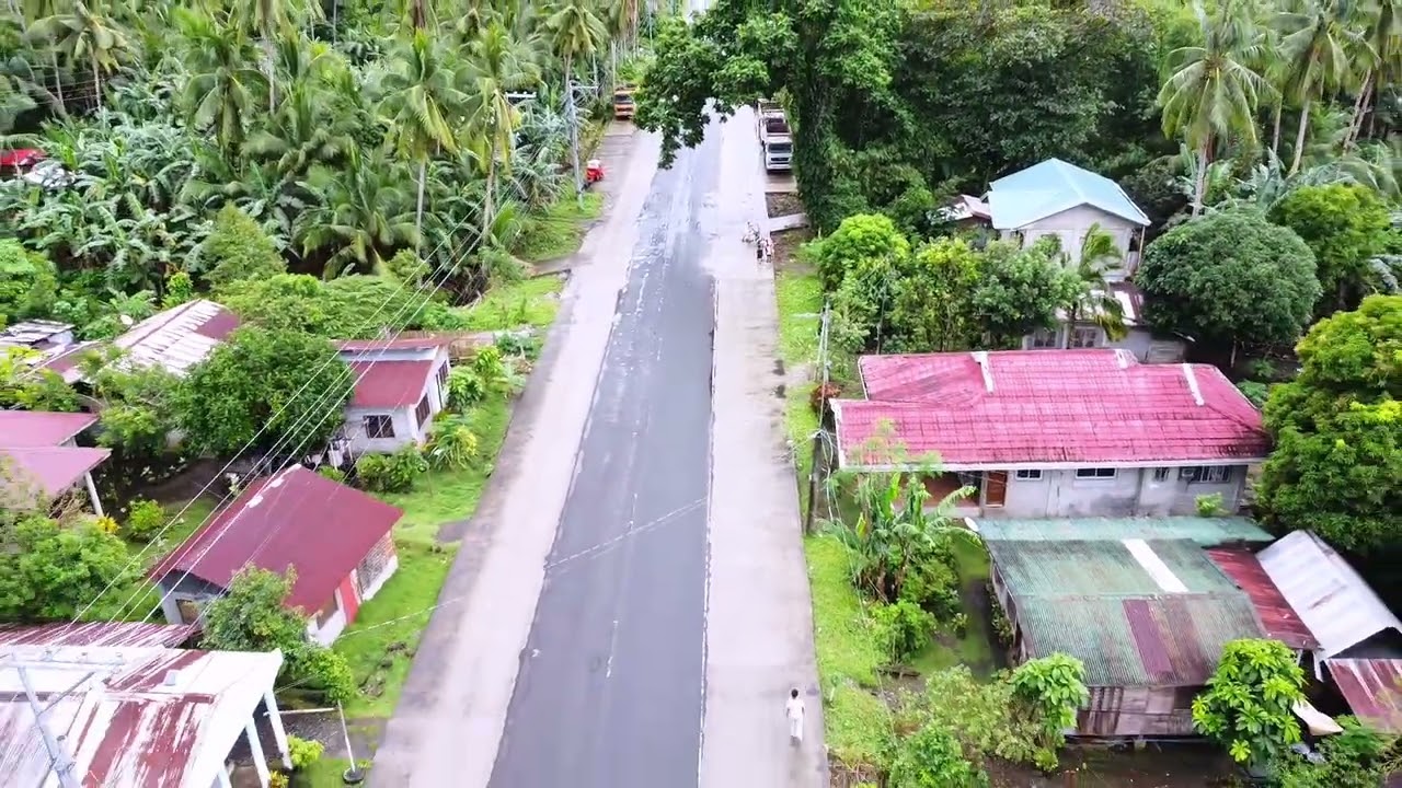 Sitio Labaw Barangay Mayuga Libagon southern leyte Aerial view 