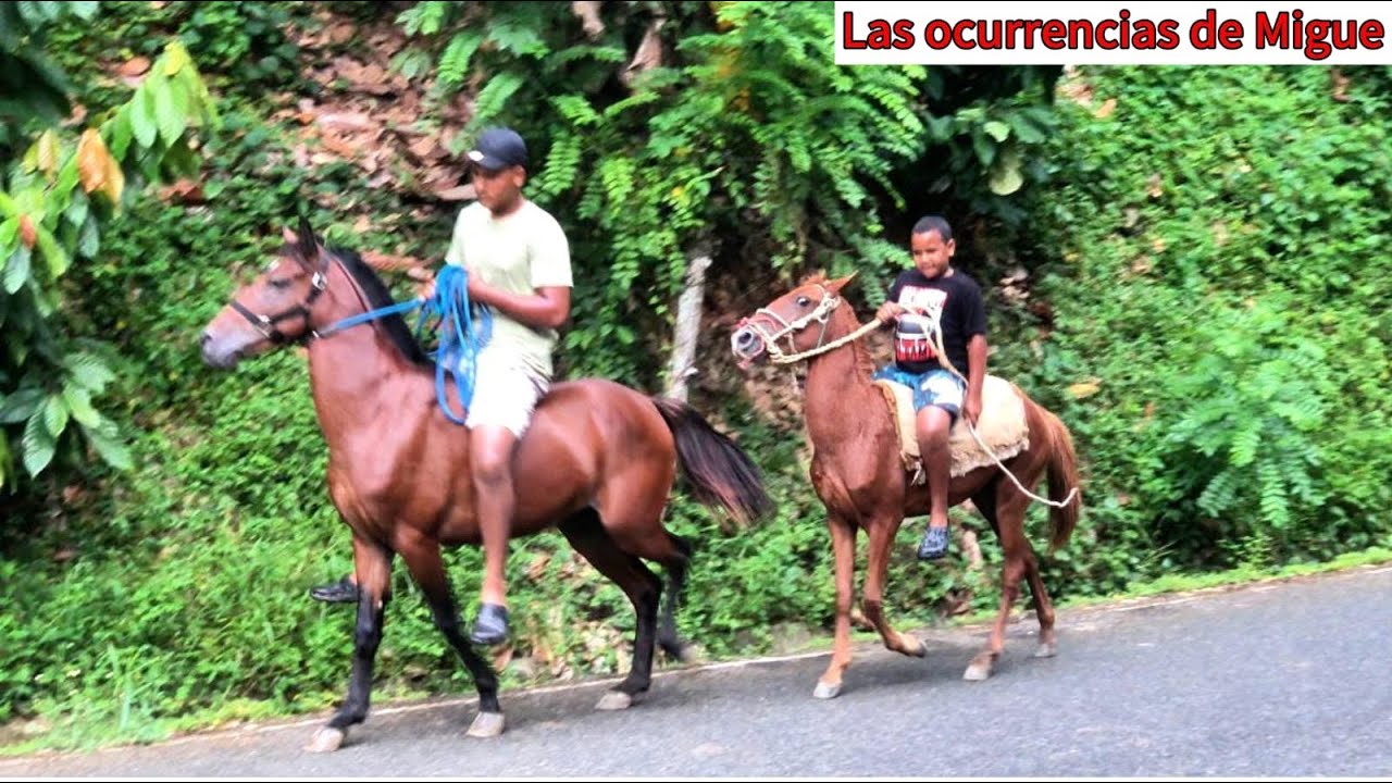 HAGO UNA MINI MONTA EN MI NUEVO CABALLO 🐎 CON MI PRIMO BERNARDO