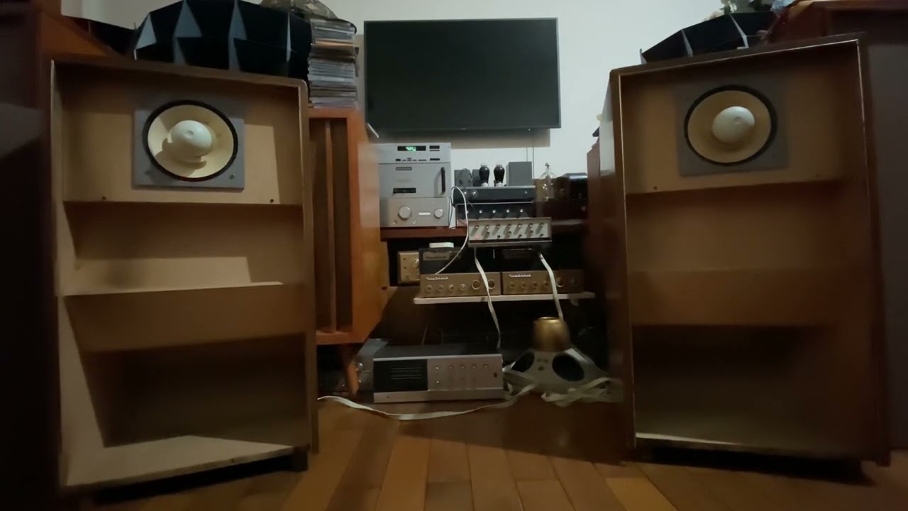 Lowther p6m thùng dzin Acousta