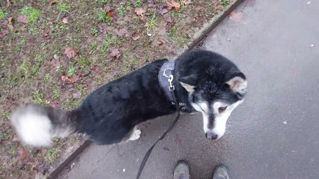 She is OK