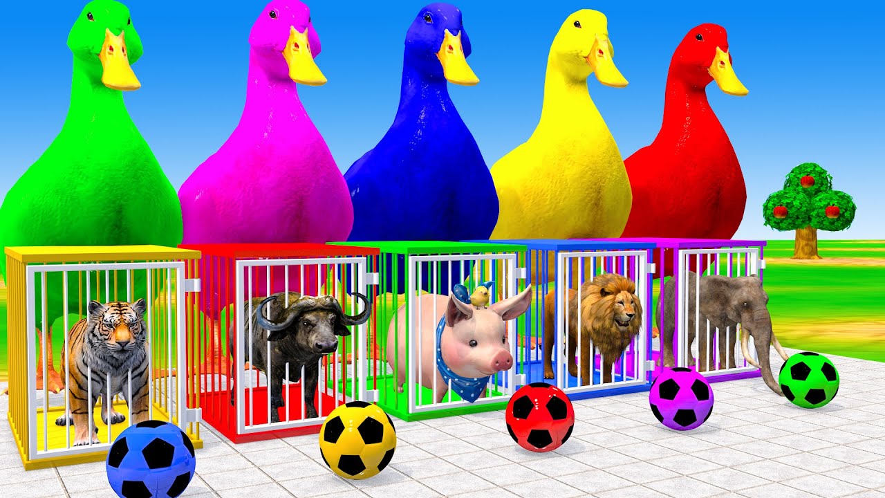 Long Slide Game With Cow Elephant Gorilla Hippopotamus Tiger 3d Animal Game Funny 3d Animals