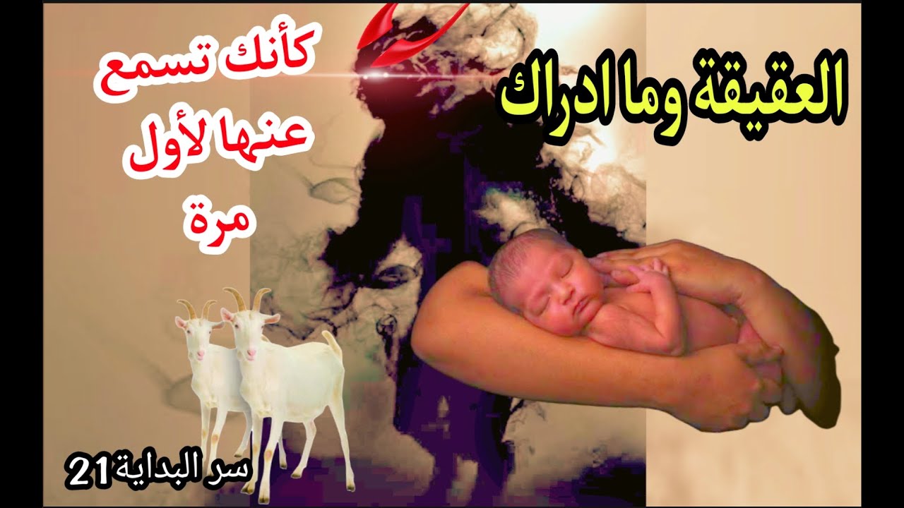 سر البداية21_ عامر الجزائري يكشف حكمة العقيقة كما لم تسمع عنها من قبل ،علم مهم جدا للمسلم غُيب عنا !