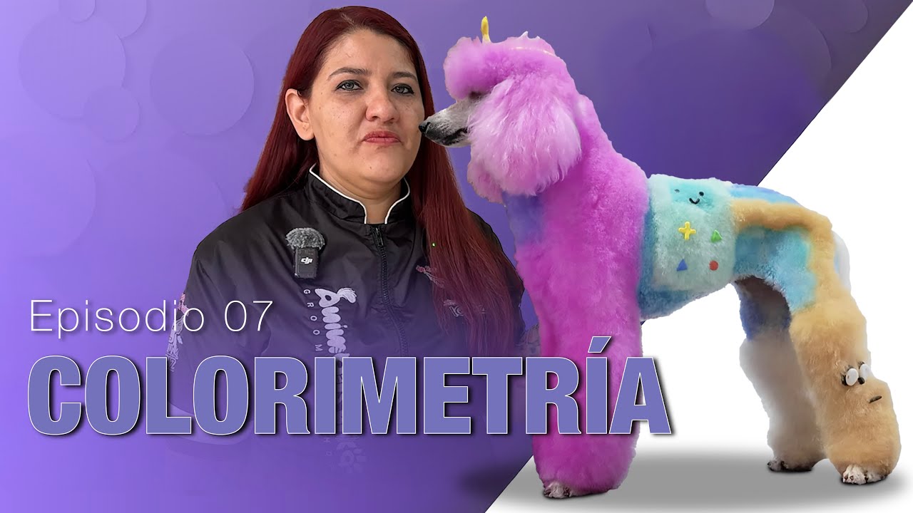 COLORIMETR&Iacute;A por Jimena Villafuerte | Maestros del Grooming | Episodio 07