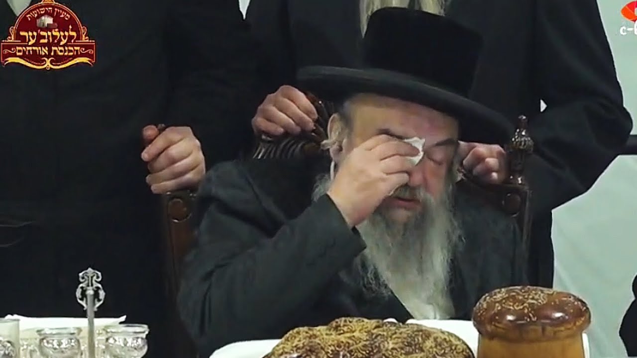 קליפ מסכם ומרגש: הילולת אוהבן של ישראל רבי דוד’ל מלעלוב זי״ע בפולין | 6 דקות של דמעות, שמחה ותפילה