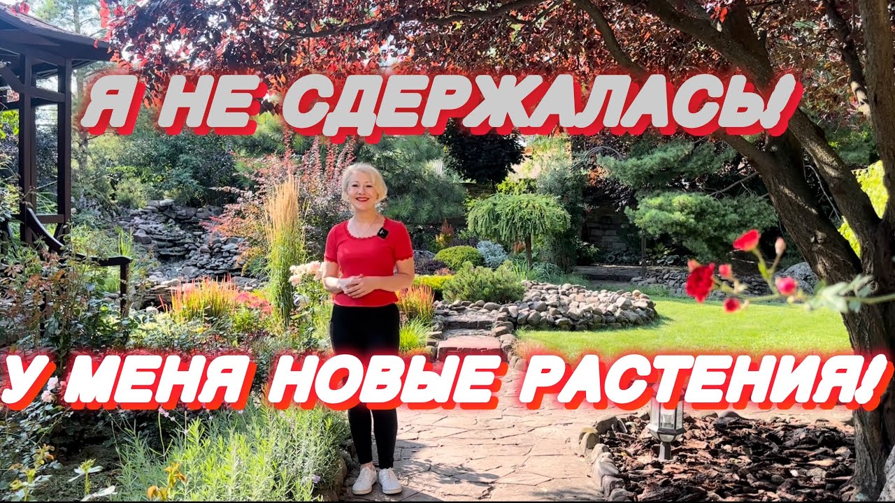 Наконец несколько новых посадок!новые растения!