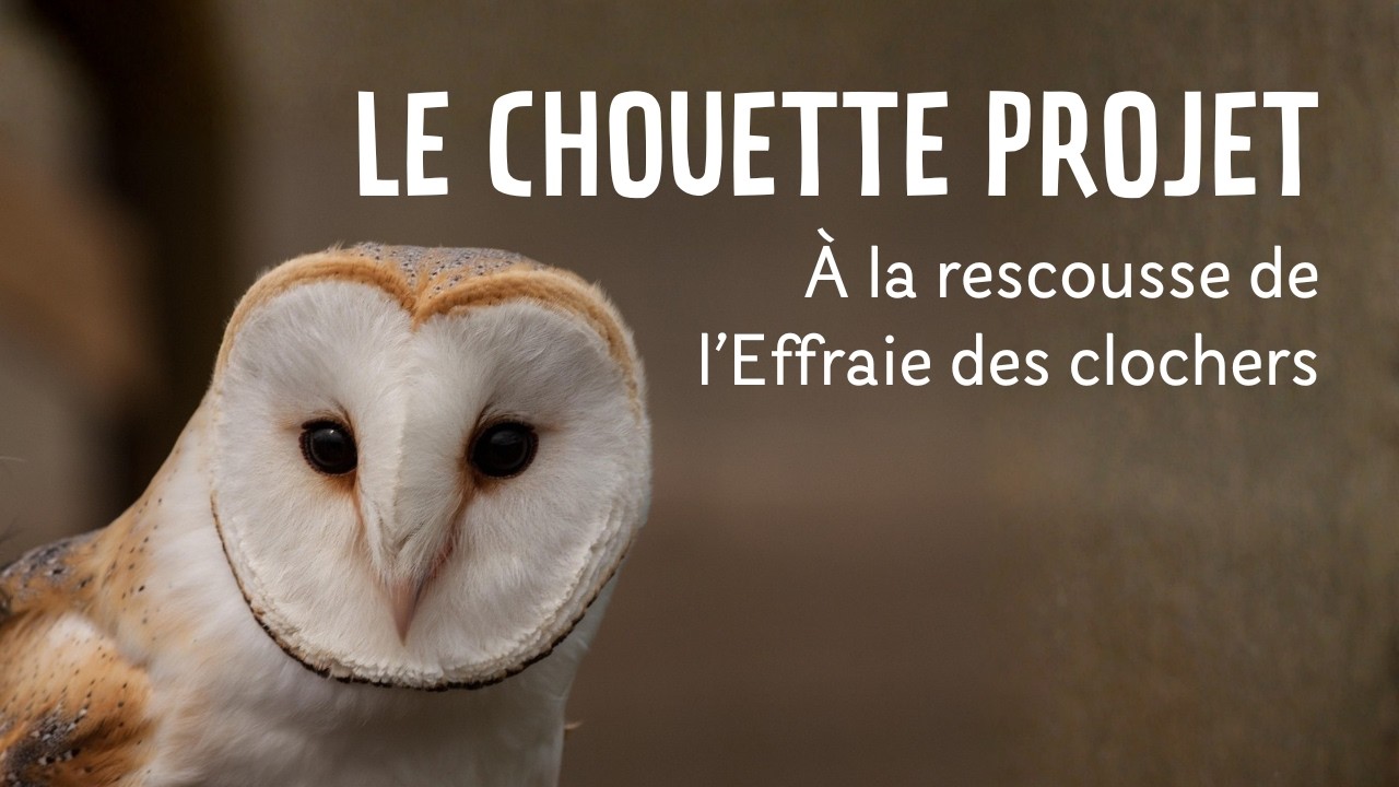 Le Chouette Projet : quand nature et inclusion se rencontrent