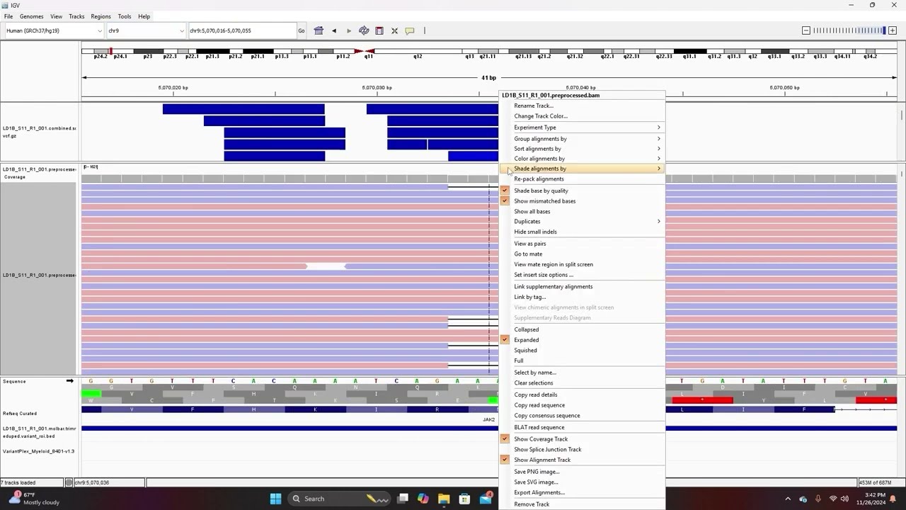 IGV Tutorial Part 4: Artifacts vs True Variants