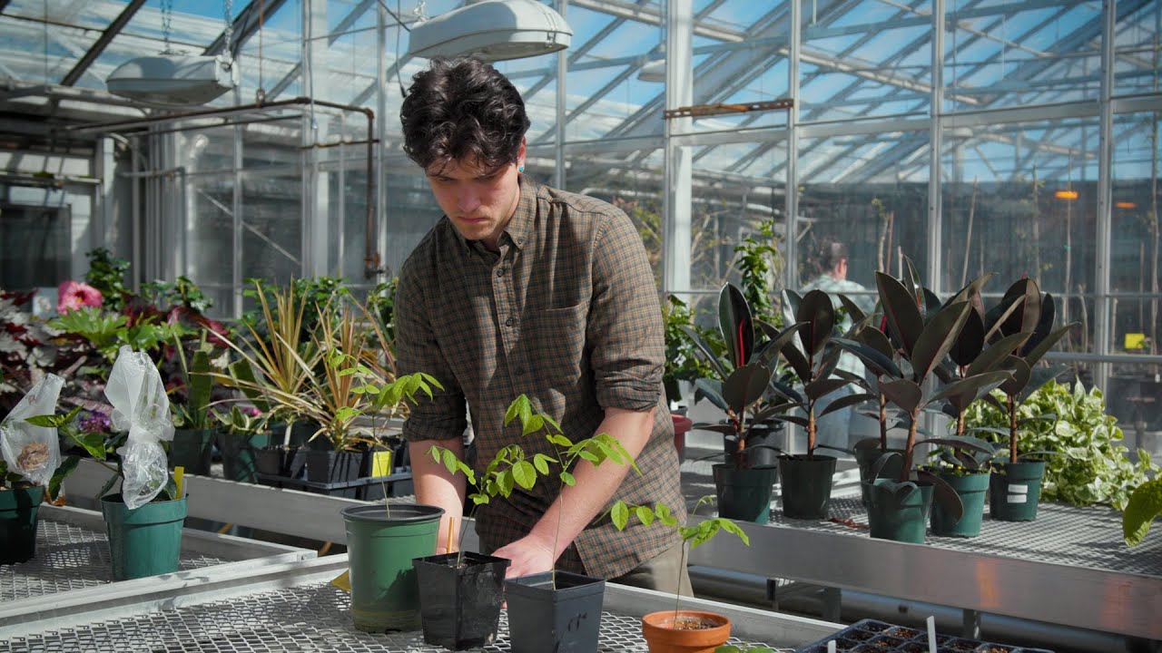 Master of Professional Studies in Natural Resources at Cornell University