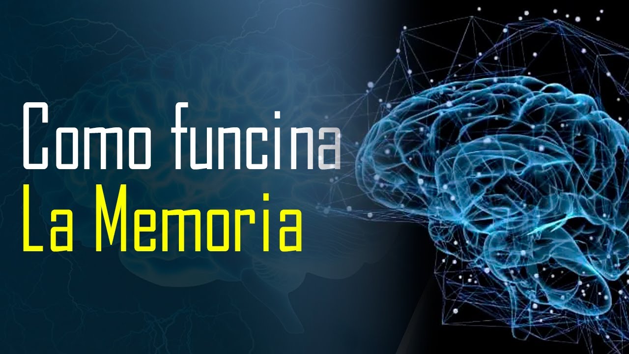 ¿Cómo funciona tu cerebro al guardar recuerdos? Te lo explicamos