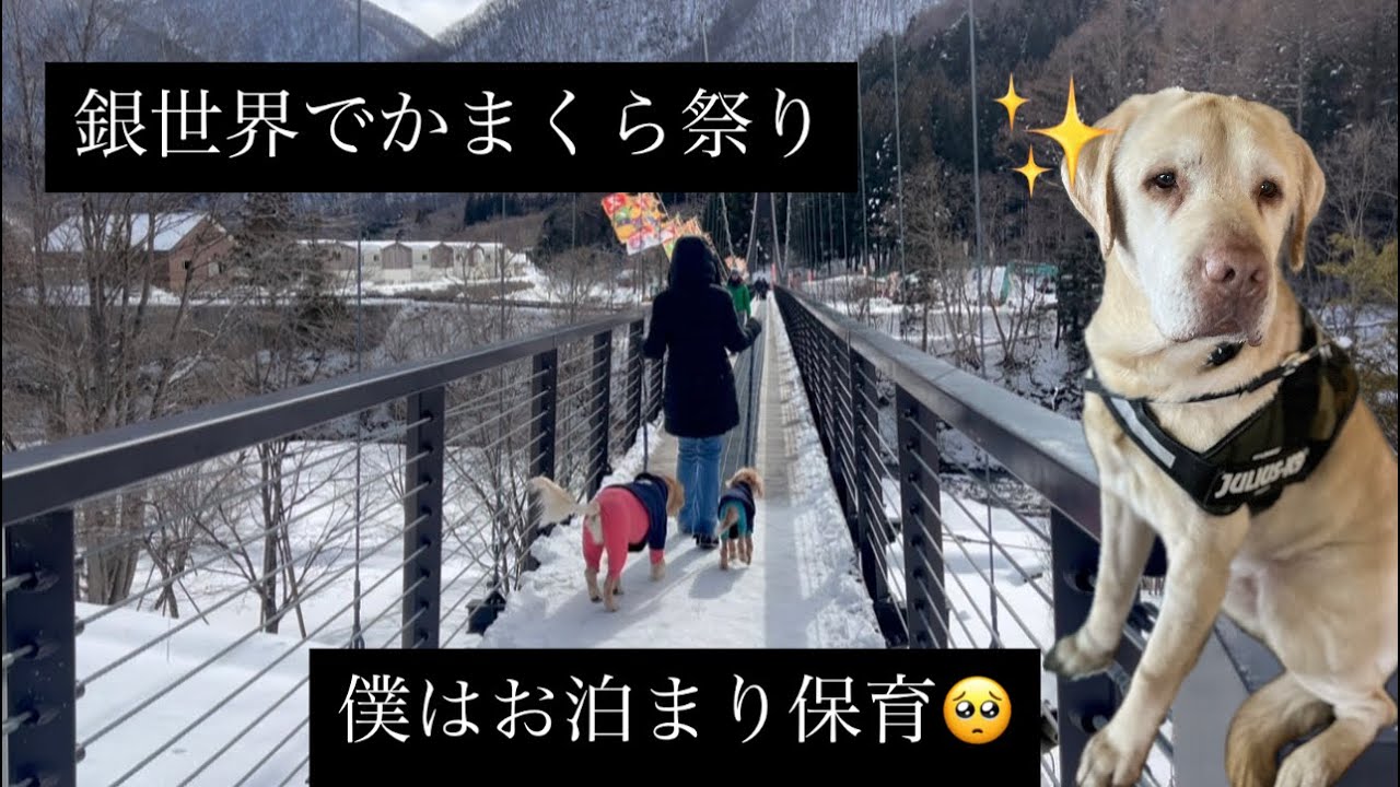 愛犬と平家伝説の秘湯湯西川かまくら祭り　後半編・食べ歩き
