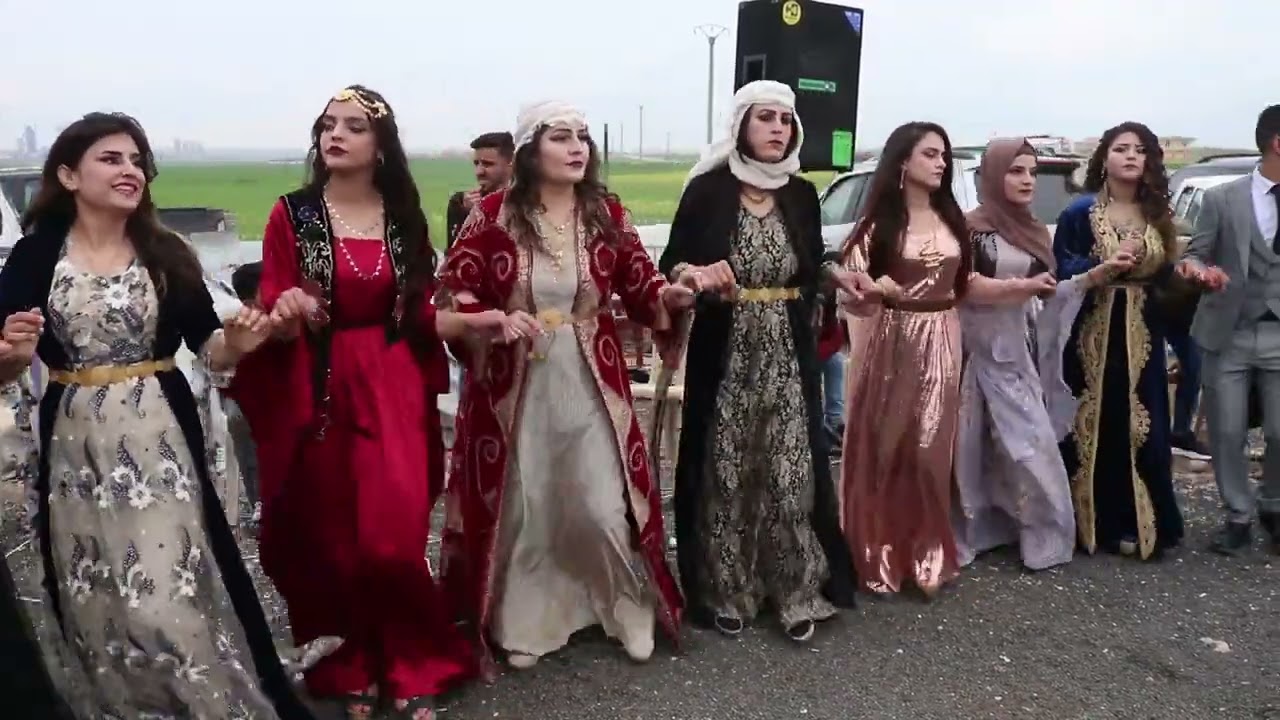 حفلة صفرية (علي و نارين ) بتاريخ 3/17/.2023 / part 3