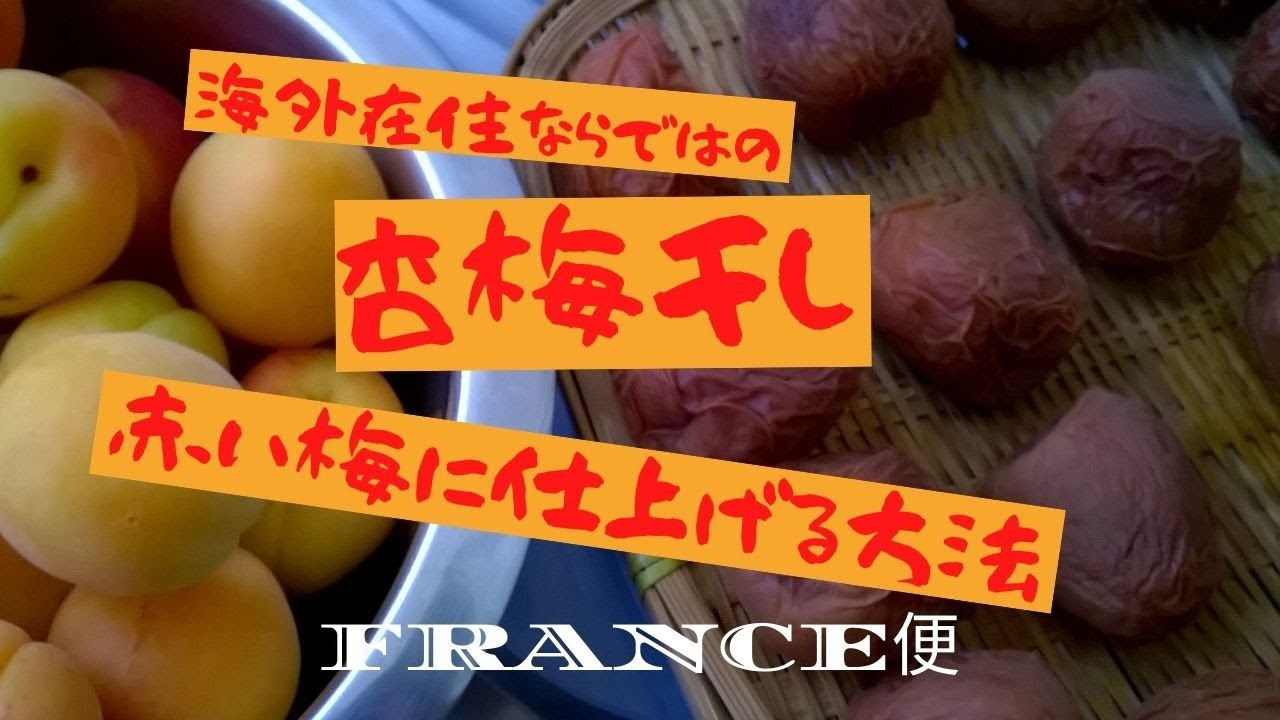 あんずで梅仕事　海外在住で　赤しそが手に入りにくい方へ　これ試してみて下さい　Prune UMEBOSHI faire à la maison　うちの台所は狭い-Table 146