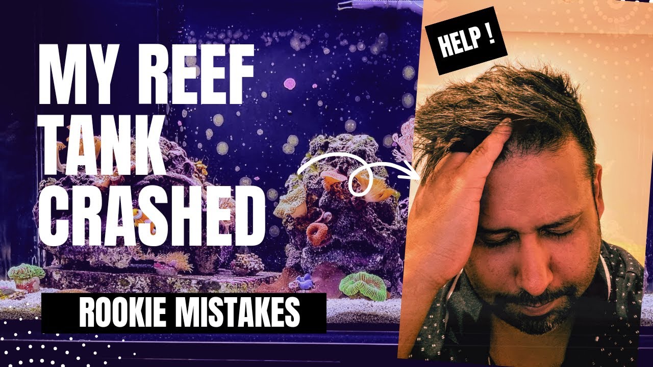 My  Reef Tank Crashed !! - LOST IT ALL- 2023 FLUVALFLEX 32.5G