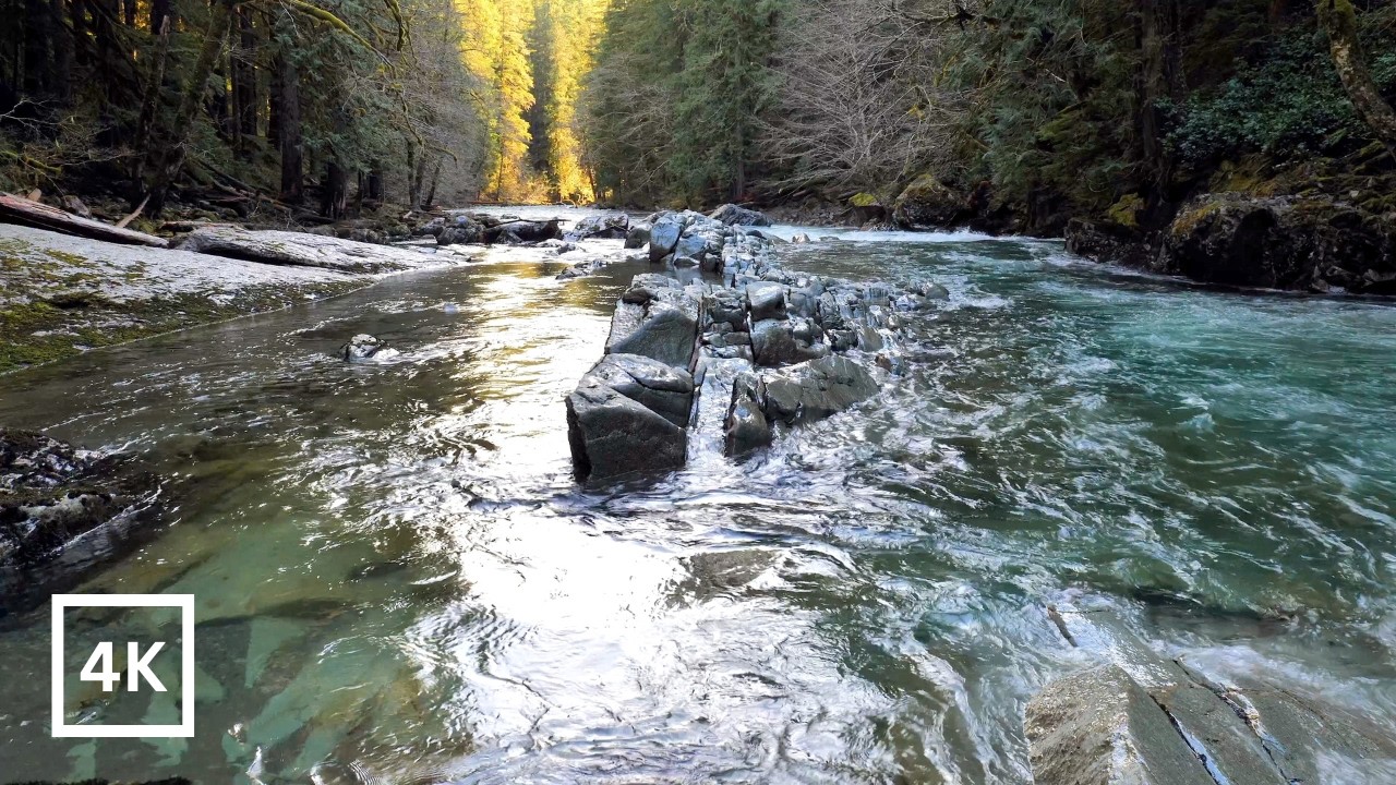4K Mountain Rainforest | Mount Rainier National Park | Forest River Nature Sounds for Sleep & Study