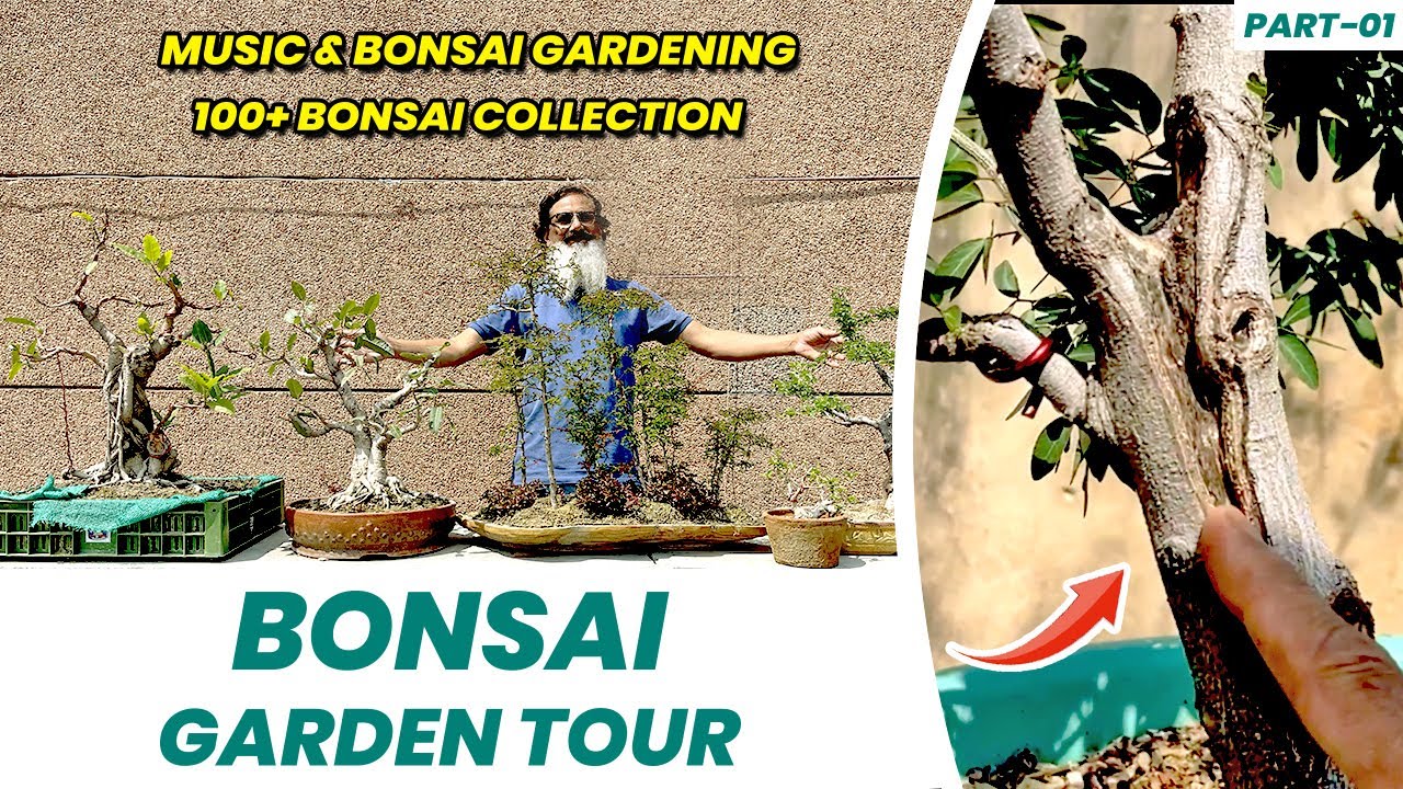 अनोखा बोन्साई गार्डन | Bonsai Garden Tour | Music & Gardening 🤩 🤩