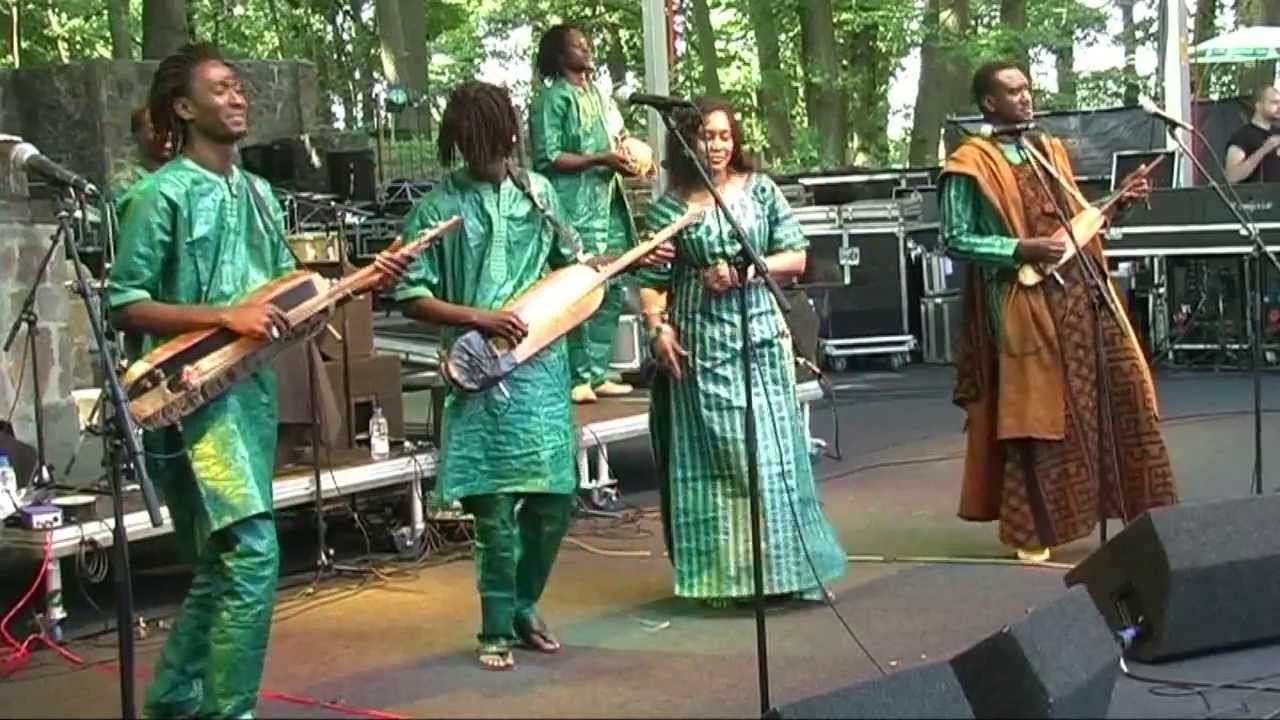 Bassekou Kouyaté - N - LIVE at Afrikafestival Hertme 2013