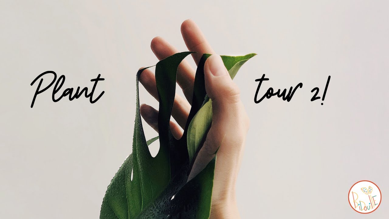 plant tour part 2