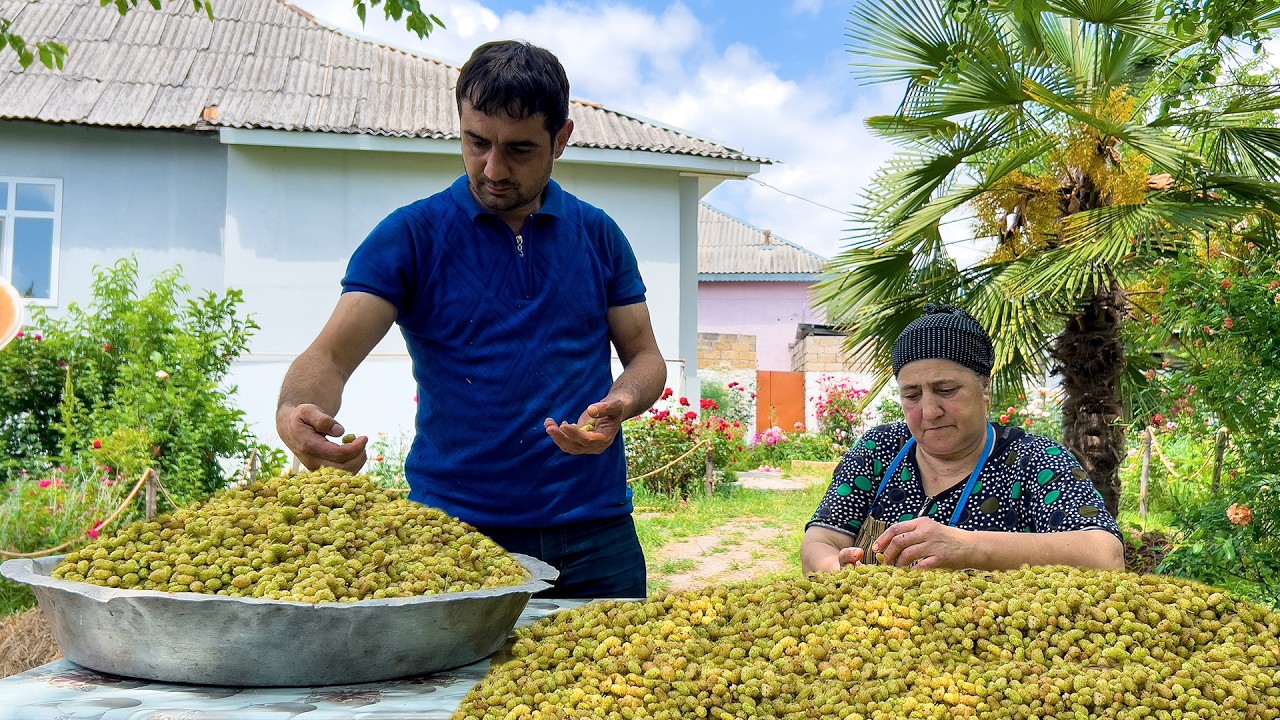 The Ultimate Village Feast! Chickens Cooked in Chopped LAMB 🍗🥩 + Making "Paradise Elixir" 🍇🍯
